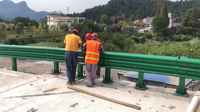 遂宁高速公路防撞护栏